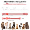 Flashseen LED Cat Collar,Light Up Dog Collar Rechargeable, Dog Lights