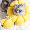 M, Lick Protection Cat, Collar, Cat, Collar, Cats, Collars for