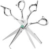 SHUNSRSW Professional 6.7" Thinning Scissors with Extremely Sharp Blades.Thinning Scissors