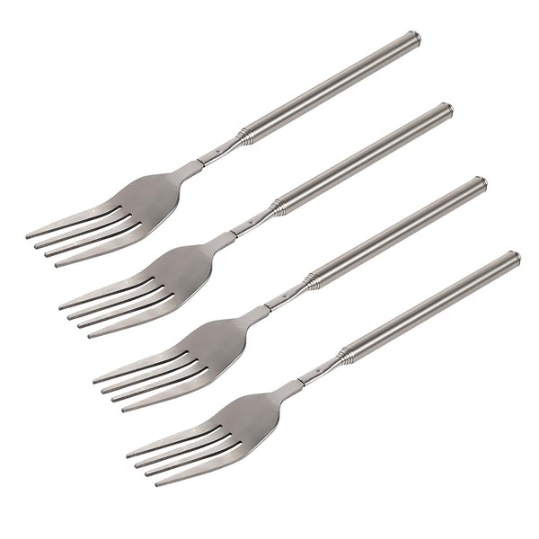 Haosie Extendable Fork, 8.7 to 25.4 Inch Long Fork, Telescopic
