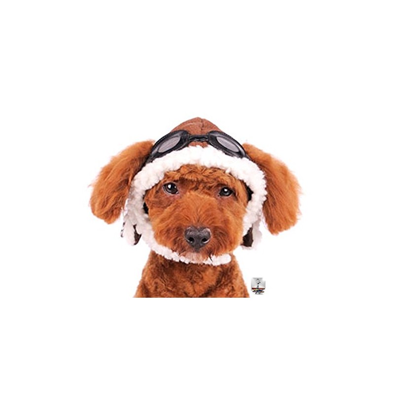 Charmed Aviator Pilot Hat with Goggles for Dogs in Sizes