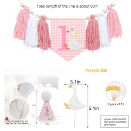One Silly Goose Birthday Party Decor for Girl Pink Set,Goose High Chair Banner,1st Birthday Party Hat,Silly Goose Cupcake Topper for Baby Shower Decorations