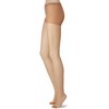 Gunze SP811 Sabrina Women's Pantyhose, Deodorizing, Run-Resistant, 3 Pairs -