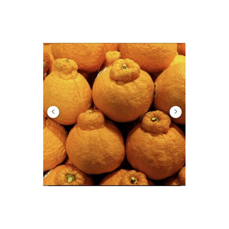 Sumo Mandarin Oranges, comes with 4lbs of the fruits