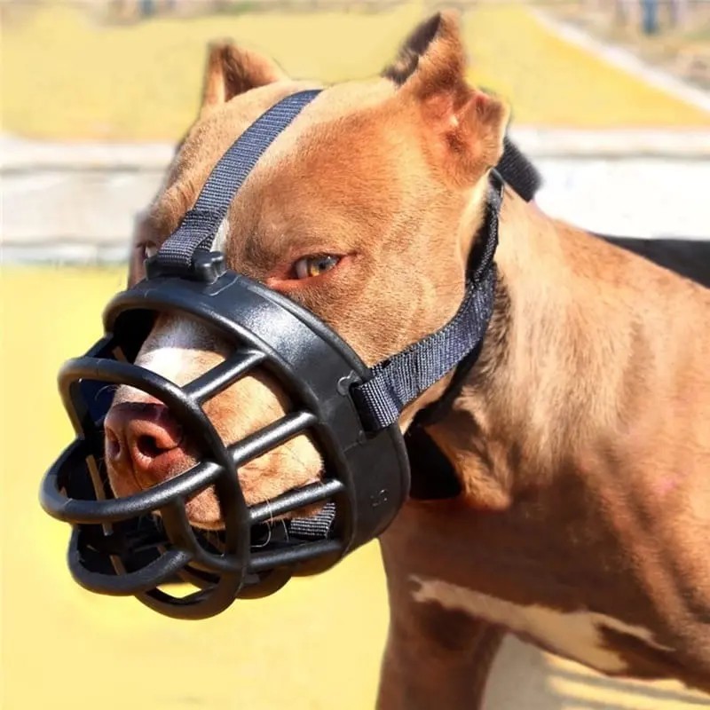 Bozal De Canasta Para Perro Grande Seguridad Alta Calidad