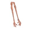 Claw Style Ice Tong Stainless Steel Hand Polished Eagle Claw