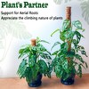 2 Pack 17 Inch Moss Pole, Stackable Moss Poles for