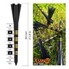 XSMSGO Plastic Golf Tees with Stripe 3-1/4" Professional Performance Series