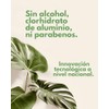 Desodorante Natural piedra de alumbre Roll on 30 ml