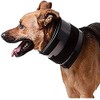 KVP Bite Free Collar Fits 25-30" Neck, 8" Width