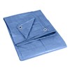 Texsport Reinforced Rip-Stop Polyethylene Tarp (Blue, 6 x 8-Feet)