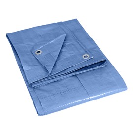 Texsport Reinforced Rip-Stop Polyethylene Tarp (Blue, 6 x 8-Feet)