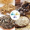 Nut Cracker Tool–Sunflower Seed Cracker, Pine Nut Opener, Watermelon Seed