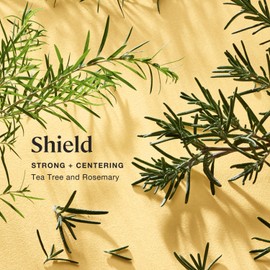 Sprig by Kohler Tea Tree + Rosemary Body and Linen Mist, 100% Natural Fragrance & Essential Oils, for Linens, Clothing, or Skin to Purify and Center - Shield, 1 fl oz