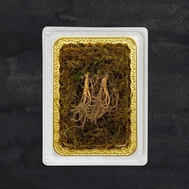 Myeongga Ilpum 정품 프리미엄 산양삼 5-6년근/2뿌리 Genuine Premium Korean Ginseng 5-6 Years Old / 2 Roots