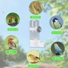 Bird Feeder Water Container Automatic Set of 2 140ml Water