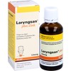 Laryngsan Plus Zinc Solution Contributes to Normal Function of the