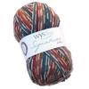 West Yorkshire Spinners Signature 4 Ply 855 Pheasant