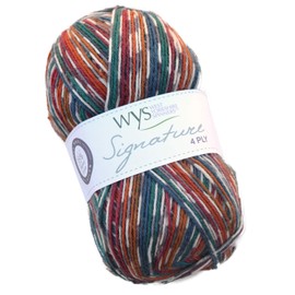 West Yorkshire Spinners Signature 4 Ply 855 Pheasant