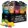 Fruit Snacks by Zest Delites, Fruit Leather Bars, Healthy Snacks
