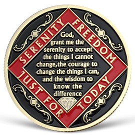 Phoenix 2 Year NA Medallion Just for Today Recovery Chip with Serenity Prayer NA AA Sobriety Coin Two Year Narcotics Anonymous Gifts for Men Women Celebrating Clean and Sober Living