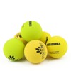 SPORTSPET High Bounce Natural Rubber Dog Balls (6 Pack High