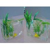 Transparent Acrylic Desktop Fish Bowl