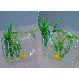 Transparent Acrylic Desktop Fish Bowl
