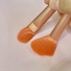 Celltem Partners Makeup Brush Mini Makeup Brush Set of 8