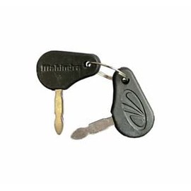 MAHINDRA TRACTOR IGNITION KEY 005555207R1 WITH OEM Logo