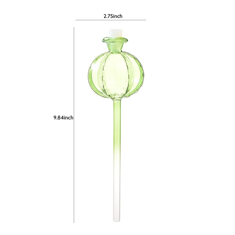 KGCCIZI Self Watering Planter Insert. Plant Watering Devices. 3-Pack Cactus