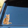 2pcs Cute Orange Tabby Cat Vinyl Decal 4.92''x5.91'' Weatherproof Self-Adhesive