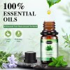 Hanolly Kit De Aceites Esenciales Para Aromaterapia 26 X 6