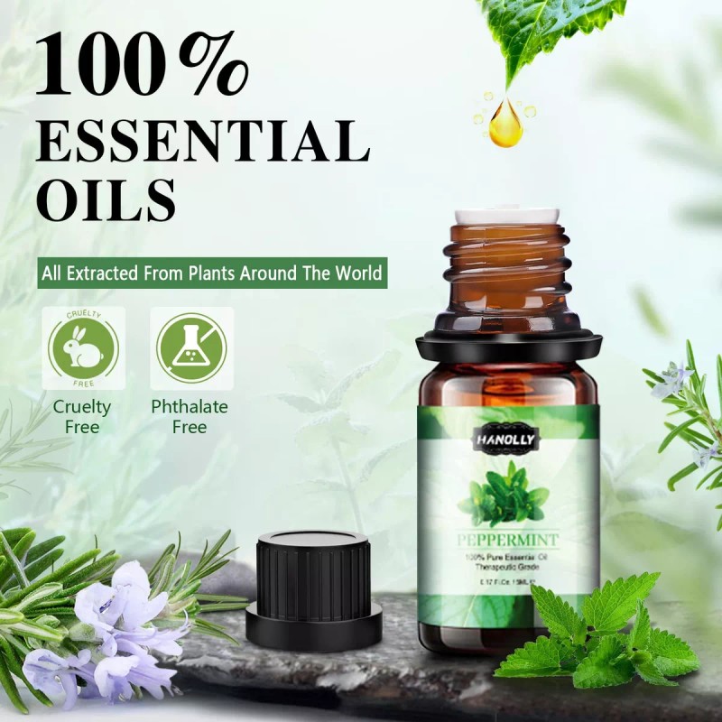 Hanolly Kit De Aceites Esenciales Para Aromaterapia 26 X 6