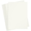 Cartoncino colorato, A6 105x148 mm, 180 g, avorio, 100fogli