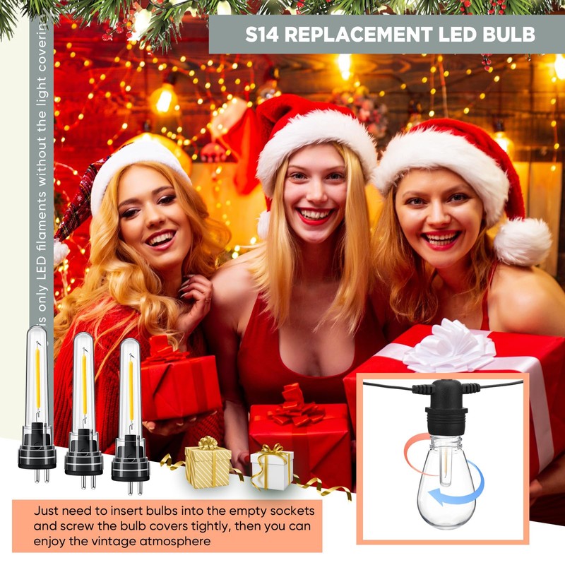 Rossesay 12 Pcs S14 Bulbs for Outdoor String Lights 1.5