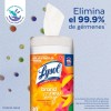 Lysol® Toallitas Desinfectantes Superficies Mango & Hibiscus 80pz