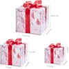 Set of 3 LED Lighted Boxes with Red Bows, Warm