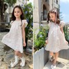 Simplee kids Baby Girl Ruffle Sleeve Dress Floral Smocked Dresses