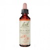 바흐 플라워 넘버 26 락 로즈 20ml Bach Flower Number 26 Rock Rose 20ml