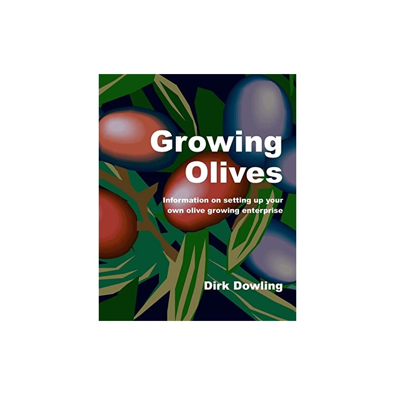 Growing Olives: Information On Setting Up Your Own Olive Growing