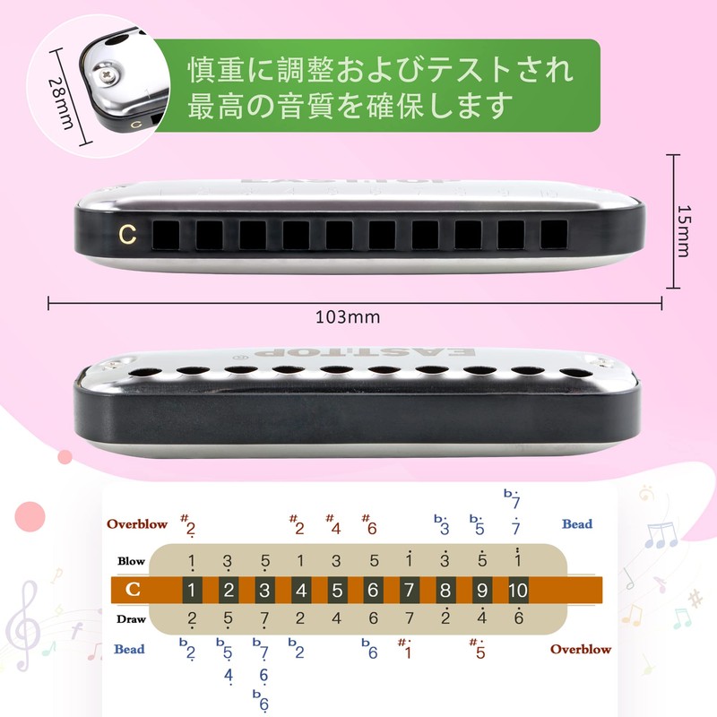 East top Harmonica Beginner, Blues Harmonica for Kids, Stainless Steel