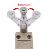TWTADE TZ-3104 Limit Switch Momentary Roller Lever Plunger NC-NO IP67