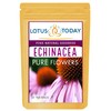 Echinacea, Pure Echinacea flower Herbal Tea 21 Tea bags