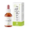 ERBOTECH, Centella Mother Tincture, Alcohol-Free Mother Tincture Drops to Dilute