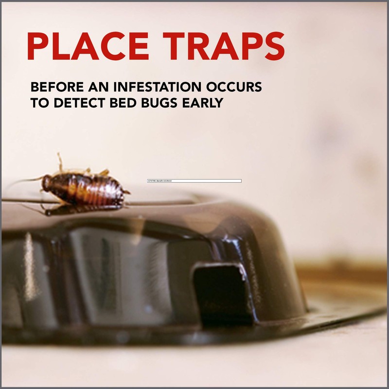 Raid Bed Bug Detector and Trap, For Indoor Use, 4