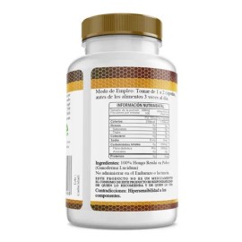 Healthy Superfoods Reishi Ganoderma Puro Premium 100 Capsulas 500mg Sabor Natura
