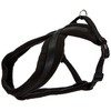 Trixie Premium Harness with Fleece Padding, Black, S–M: 40–70 cm/20