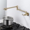 Pot Filler Faucet Gold Wall Mount Kitchen Faucet Folding Double