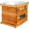 Honey Lake 10 Frame Langstroth Beehive Starter Kit – Wax-Dipped